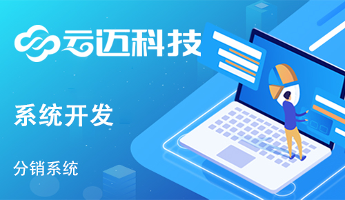 企業(yè)開發(fā)分銷系統(tǒng)有哪些運營優(yōu)勢？